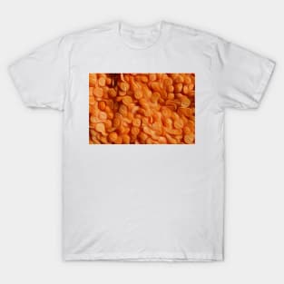 Lentils oil paints effect T-Shirt